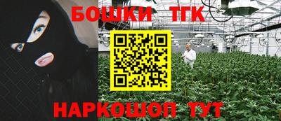 сатива Моздок