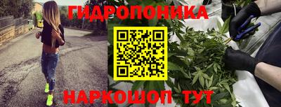 сатива Моздок