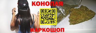 сатива Моздок