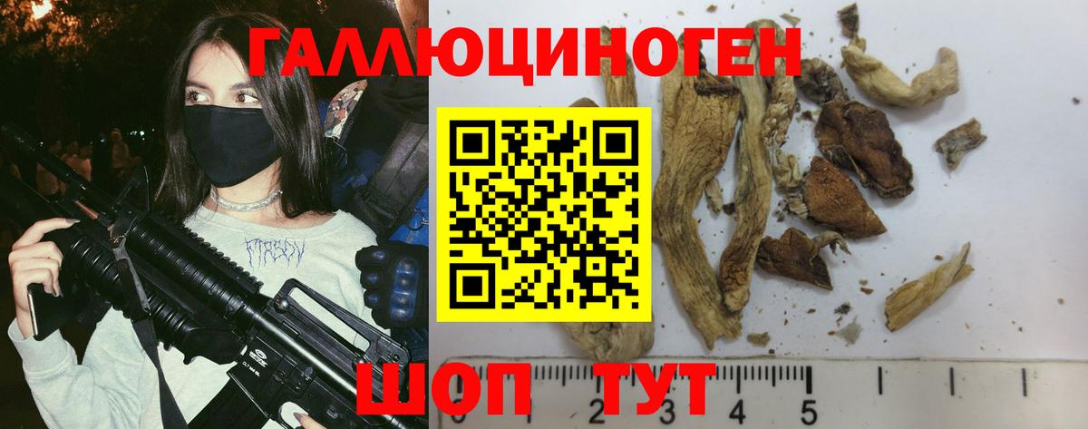 Псилоцибиновые грибы Cubensis  дарнет шоп  Камышин  Вход с VPN 