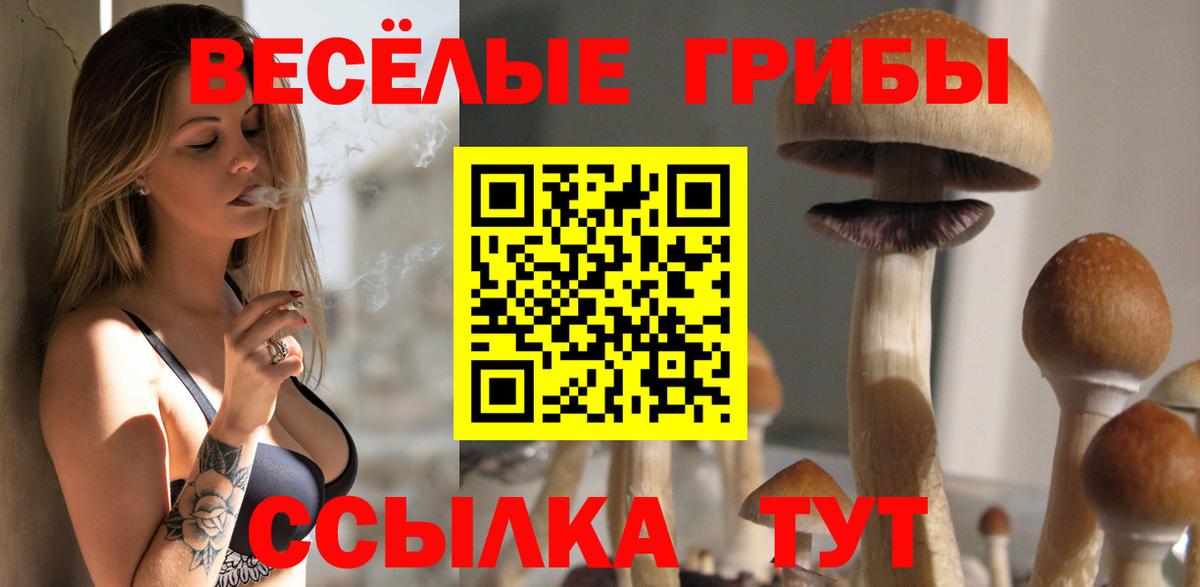 Псилоцибиновые грибы ЛСД Камышин