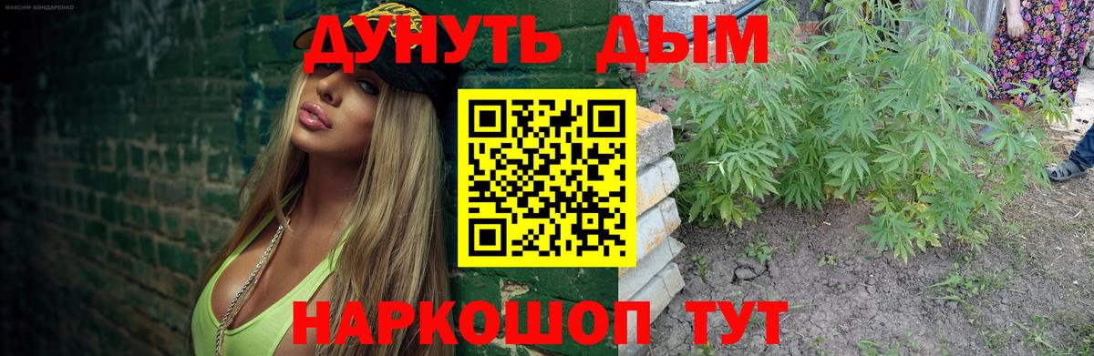 Шишки марихуана план  Вход с VPN  Канабис VHQ  Камышин  Бошки марихуана гибрид 